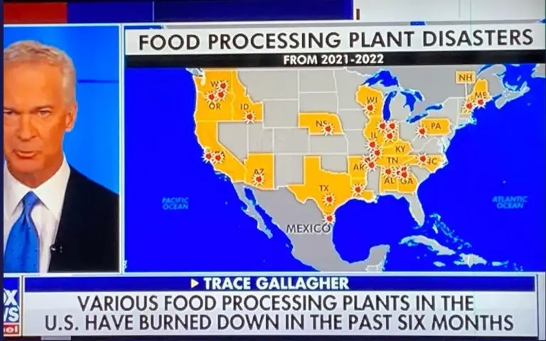 How to Make Your Food Supply Chain Anti-Fragile